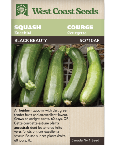 Black Beauty Zucchini Squash Vegetables Seeds - West Coast Seeds