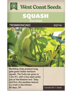 Tromboncino Zucchini Squash Vegetable Seeds - West Coast Seeds - SQ714A