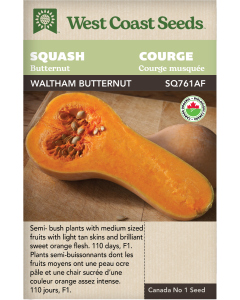 Waltham Certified Organic Butternut Squash Vegetables Seeds - West Coast Seeds
