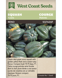 Reno F1 Acorn Squash Vegetables Seeds - West Coast Seeds