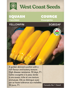 Yellowfin F1 Certified Organic Zucchini Squash Vegetables Seeds - West Coast Seeds
