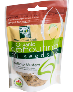 Mustard Yellow Certified Organic Sprouting Mustard Vegetable Seeds - West Coast Seeds - SS109A