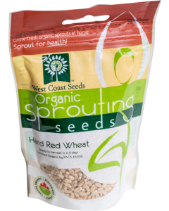 Wheatgrass Certified Organic Sprouting Wheat Vegetable Seeds - West Coast Seeds - SS112A