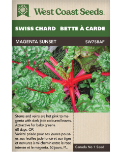 Magenta Sunset Swiss Chard Vegetables Seeds - West Coast Seeds