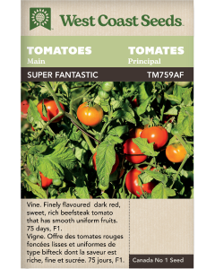 Super Fantastic F1 Main Tomatoes Vegetables Seeds - West Coast Seeds