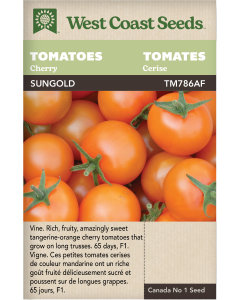 Sungold Cherry F1 Cherry Tomatoes Vegetables Seeds - West Coast Seeds