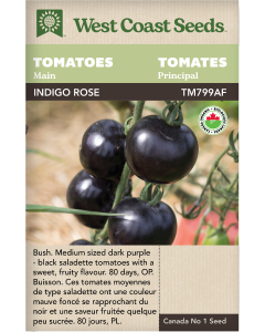 Indigo Rose Certified Organic Main Tomatoes Vegetables Seeds - West Coast Seeds
