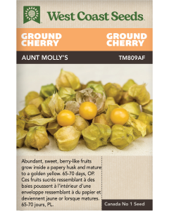 Aunt Molly's Tomatillo Tomatoes Vegetables Seeds - West Coast Seeds