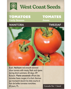 Manitoba Early Tomatoes Vegetables Seeds - West Coast Seeds