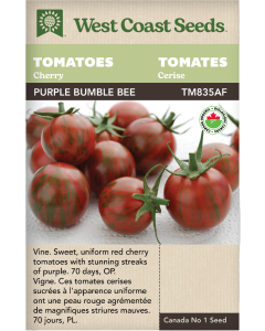 Purple Bumble Bee Certified Organic Cherry Tomatoes Vegetables Seeds - West Coast Seeds
