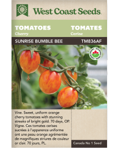 Sunrise Bumble Bee Certified Organic Cherry Tomatoes Vegetables Seeds - West Coast Seeds