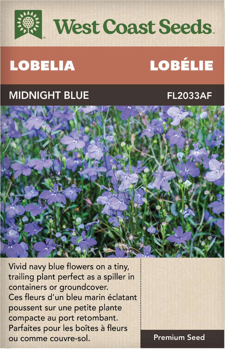 Regatta Midnight Blue Lobelia