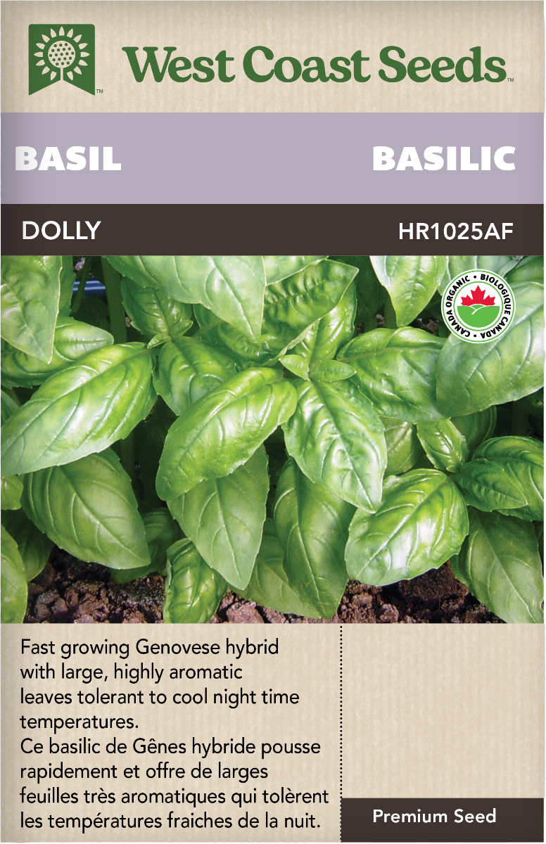 Dolly Certified Organic Genovese Basil Herbs Seeds West Coast Seeds