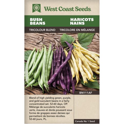 Tricolor Bean Blend Bush Beans Vegetables Seeds - West Coast Seeds