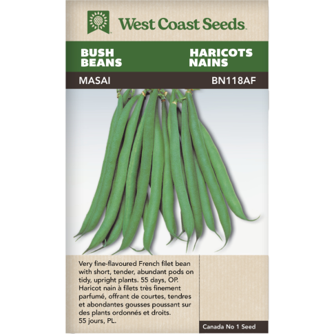 Masai French Bush Beans Vegetables Seeds - West Coast Seeds