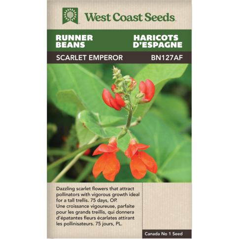 Scarlet Emperor Runner Beans Vegetables Seeds - West Coast Seeds