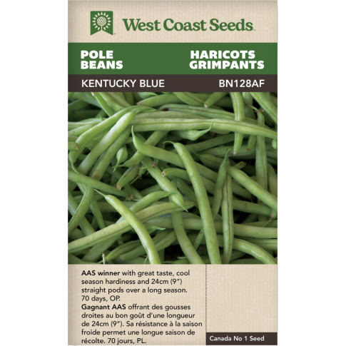 Kentucky Blue Pole Beans Vegetables Seeds - West Coast Seeds