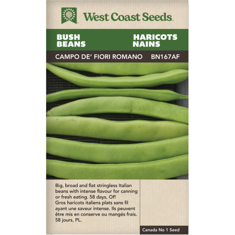 Campo de' Fiori Bush Beans Vegetables Seeds - West Coast Seeds