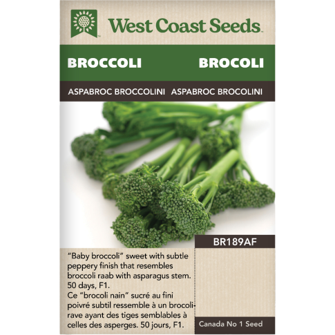 Aspabroc F1 (Brocollini) Green Sprouting Broccoli Vegetables Seeds - West Coast Seeds