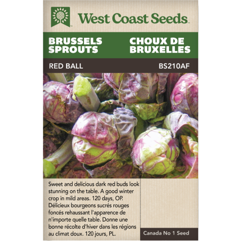 Red Ball Brussel Sprouts Vegetables Seeds - West Coast Seeds
