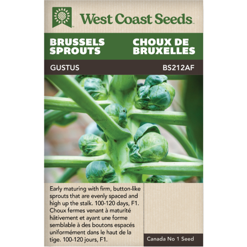 Gustus F1 Brussel Sprouts Vegetables Seeds - West Coast Seeds