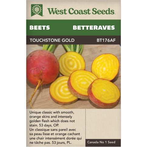 Touchstone Gold Yellow Beets Vegetables Seeds - West Coast Seeds
