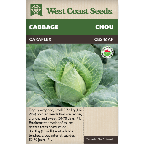 Caraflex enrobée Été Choux Légumes Graines Biologiques - West Coast Seeds