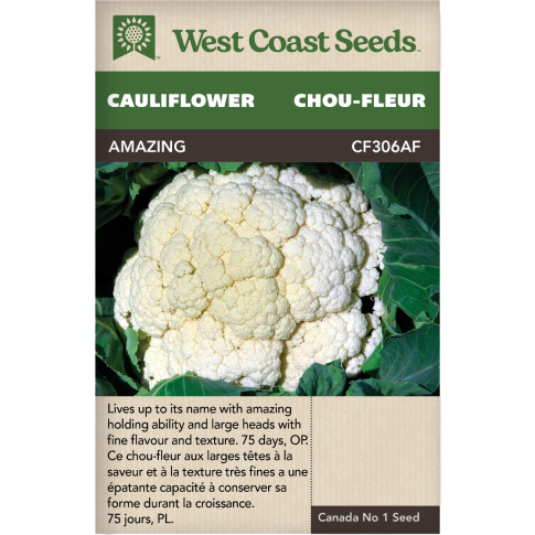 Amazing Main Cauliflower Vegetables Seeds - West Coast Seeds