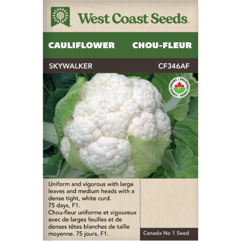 Skywalker Principale Chou-fleur Légumes Graines Biologiques - West Coast Seeds