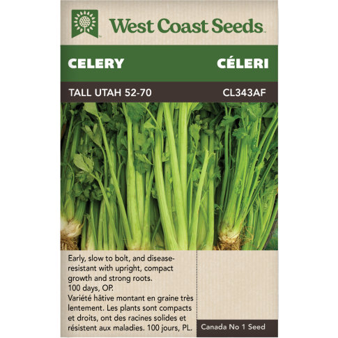 Tall Utah 52-70 Celery Vegetables Seeds - West Coast Seeds