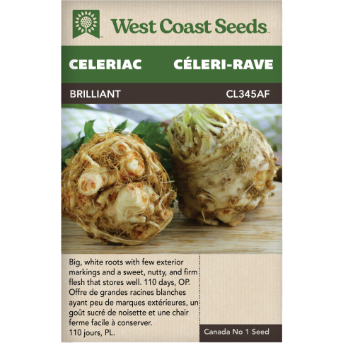 Brilliant Celeriac Celery Vegetables Seeds - West Coast Seeds