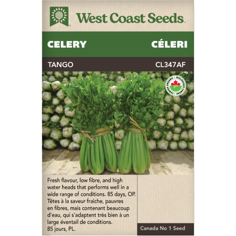 Tango (Coated) Certified Organic Celery Vegetables Seeds - West Coast Seeds
