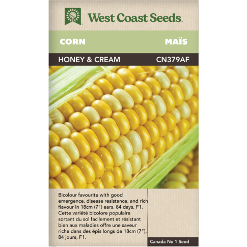 Honey and Cream F1 Corn Vegetables Seeds - West Coast Seeds