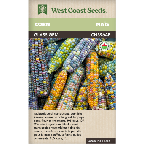 Glass Gem Certified Organic Corn Vegetables Seeds - West Coast Seeds