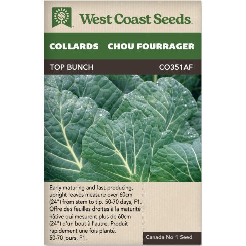Top Bunch F1 Collards Vegetables Seeds - West Coast Seeds