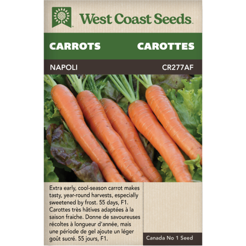 Capoli Napoli enrobée Nantes Carottes Légumes Graines Biologiques - West Coast Seeds