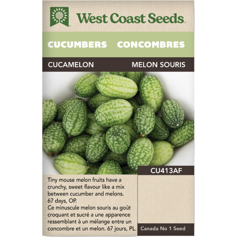 Cucamelon Specialty Cucumbers Vegetables Seeds - West Coast Seeds