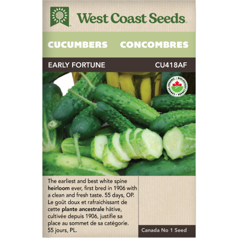 Early Fortune Certified Organic Slicing Cucumbers Vegetables Seeds - West Coast Seeds