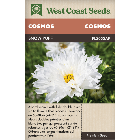 Snow Puff - double click Annual Cosmos Flowers Seeds - West Coast Seeds