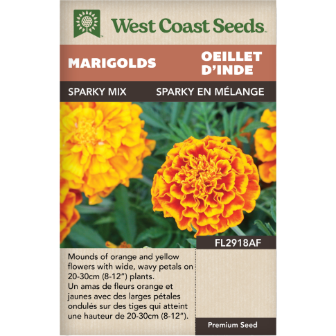 French Marigold Sparky Mix Annual Marigolds Flowers Seeds - West Coast Seeds