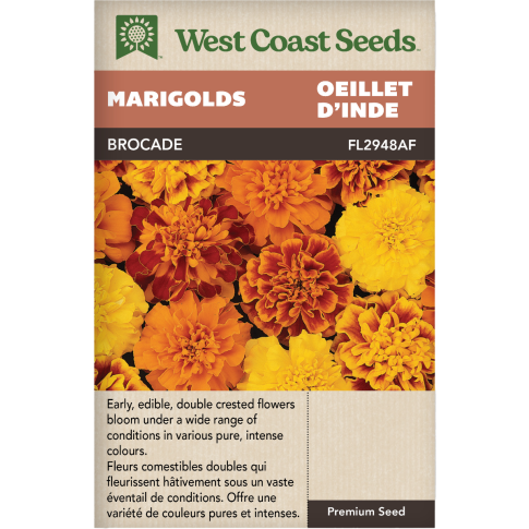 Brocade Annual Marigolds Flowers Seeds - West Coast Seeds