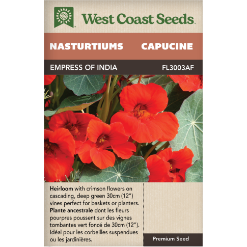 Empress of India Annual Nasturtiums Flowers Seeds - West Coast Seeds
