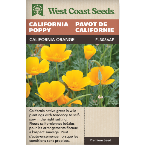 California Orange Annuel Coquelicots de Californie Fleurs Graines - West Coast Seeds