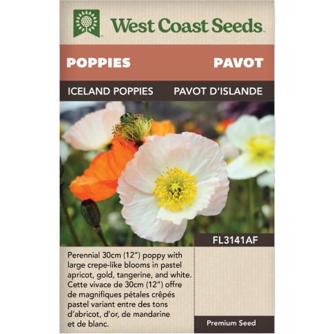 Iceland Perennial Poppies Flowers Seeds - West Coast Seeds