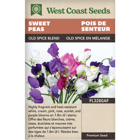 Old Spice Blend Annual Sweet Peas Flowers Seeds - West Coast Seeds