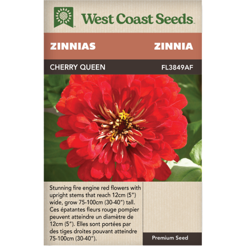 Cherry Queen Annual Zinnias Flowers Seeds - West Coast Seeds