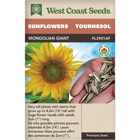 Mongolian Giant Certified Organic Annual Sunflowers Flowers Seeds - West Coast Seeds