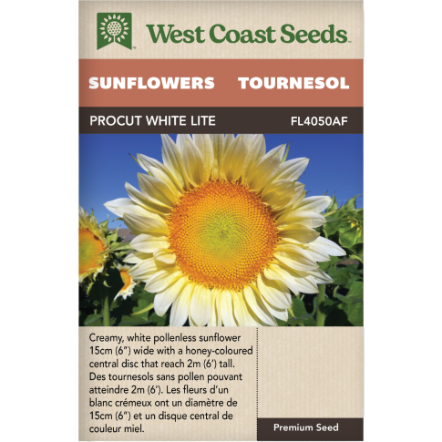 ProCut White Lite Annuel Tournesols Fleurs Graines - West Coast Seeds