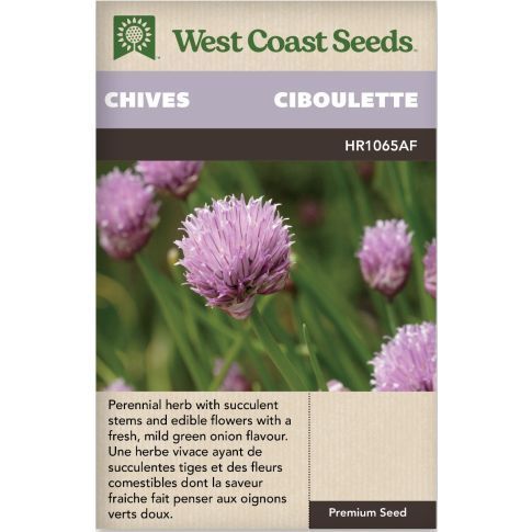 Chives Perennial Chives Herb Seeds - West Coast Seeds - HR1065AF