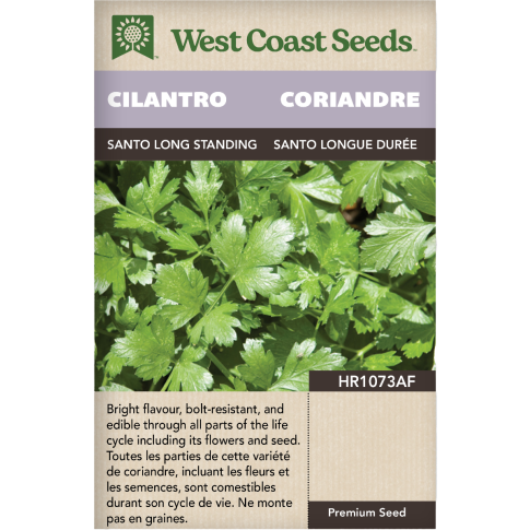 Santo Long Standing Cilantro Herbs Seeds - West Coast Seeds